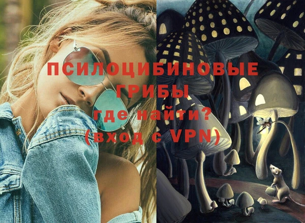 эйфоретик Алексин