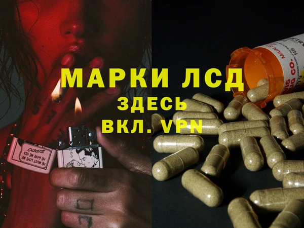 эйфоретик Алексин